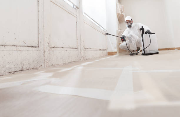 Black mold remediation team in Landing
